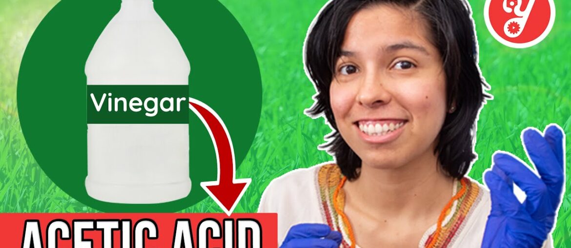 Vinegar Cleaning Hacks! and Why It Is NOT a Disinfectant for Coronavirus | Yoguely