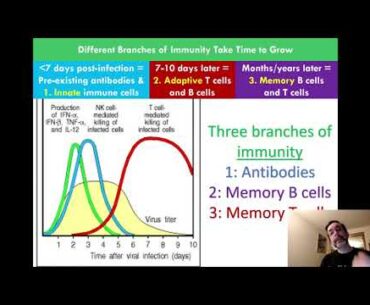 COVID 19 and Education (Part 1/3): Where I'm Coming From and the Importance of Family Trees