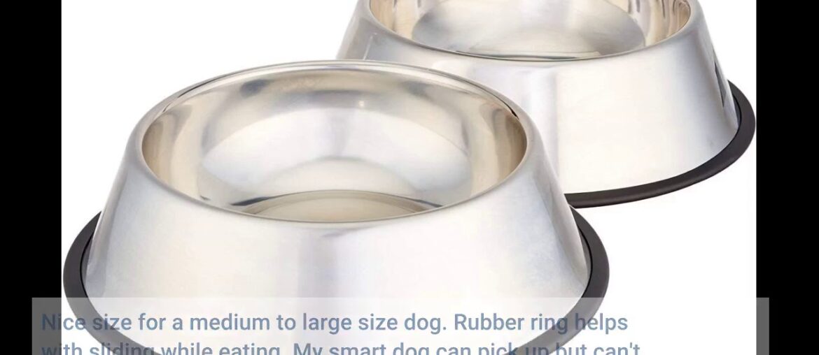 AmazonBasics Stainless Steel Pet Dog Water And Food Bowl - 11 x 3 Inches