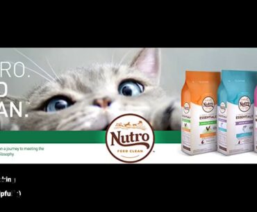 Nutro Wholesome Essentials Hairball Control Adult Dry Cat Food Farm-Raised Chicken & Brown Rice...