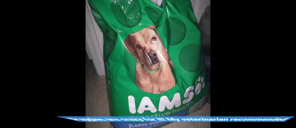 IAMS Adult Large Breed Dry Dog Food Chicken and Whole Grains Recipe 13.61 (30LB) - 13.6kg (1017...
