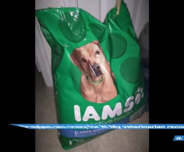 IAMS Adult Large Breed Dry Dog Food Chicken and Whole Grains Recipe 13.61 (30LB) - 13.6kg (1017...