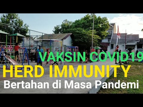 Bertahan dimasa Pandemi Covid19|Here Immunity|Vaksin Covid19|Gugus Tugas|PSBB|