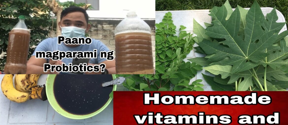 Homemade Vitamins and Minerals at Paano magparami ng Probiotics?