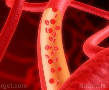 Take These Nutrients/Supplements To Improve Blood Flow & Circulation