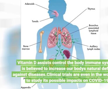 5 Ways to Fortify Your Immune System - Health and Wellness Fundamentals Explained