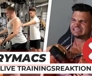 SMARTGAINS reagiert auf TRYMACS LIVE TRAINING | Reaktion