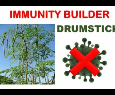 BioAnimator- Immunity builder Drumstick || Corona medicine