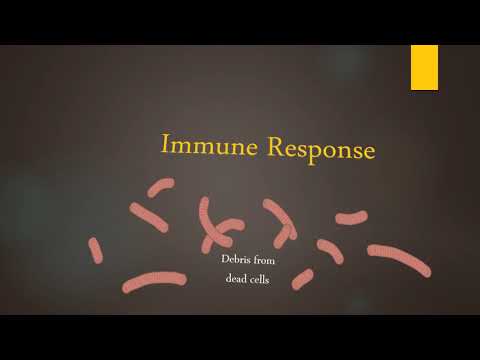 Corona virus Detailed Video | COVID-19 | Assignment | Immunology |