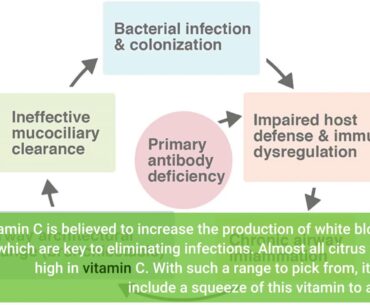 The 7-Minute Rule for The Immune System and Primary Immunodeficiency - Immune