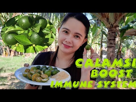 CALAMANSI | MUKBANG