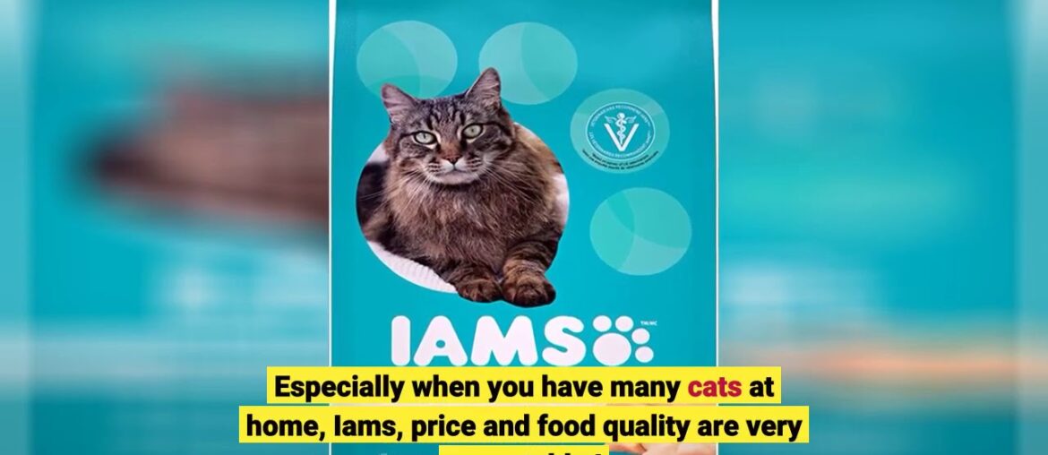 Iams Proactive Health Dry Cat Food - Salmon & Tuna - 3.18kg, 1 Pack