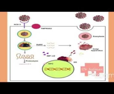 Dr. Salman discussing pharmacological aspects in COVID 19