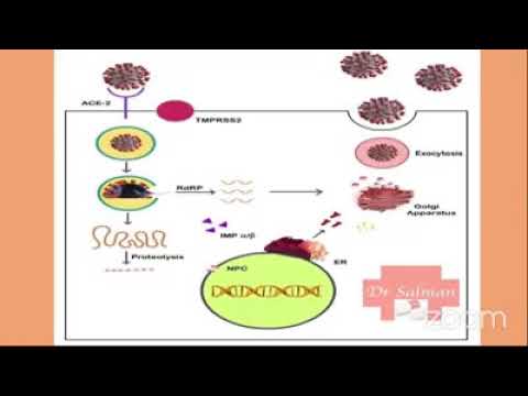 Dr. Salman discussing pharmacological aspects in COVID 19