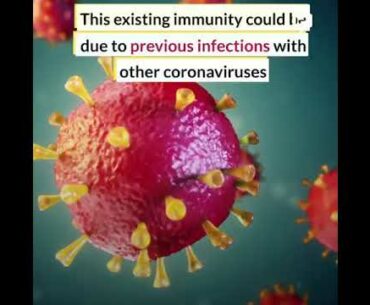 Common colds train the immune system to recognize COVID 19 | Corona Virus Updates | Corona News