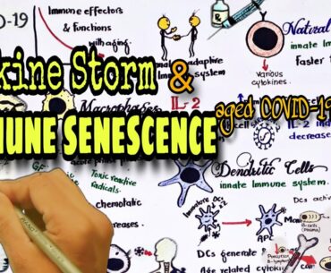 cytokine storm & immune senescence & aged COVID-19 pts -part 2 | cytokine release syndrome
