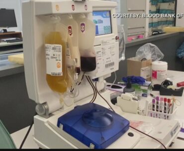 Blood Bank of Hawaii's COVID-19 Convalescent Plasma Program