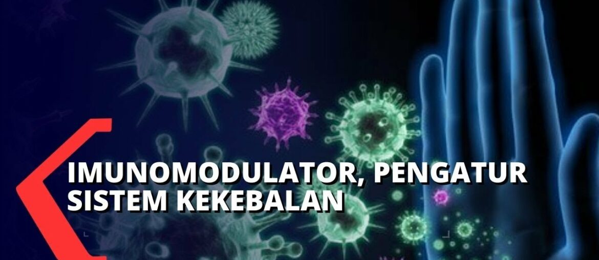 Imunomodulator, Zat Pengatur Sistem Kekebalan Tubuh