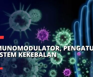 Imunomodulator, Zat Pengatur Sistem Kekebalan Tubuh