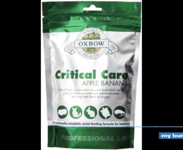 Oxbow Critical Care Apple/Banana Pet Supplement, 141gm