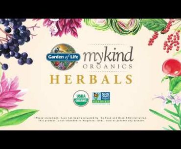 Elderberry Immune Syrup Garden of Life mykind Organics