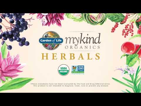 Elderberry Immune Syrup Garden of Life mykind Organics