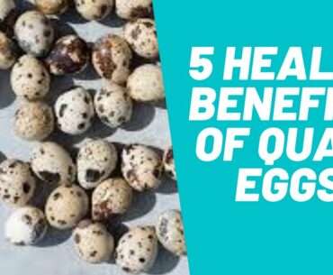 5 Health Benefits Of Quail Eggs.