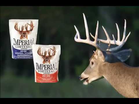 Whitetail Institute 30-06 Mineral/Vitamin Plus Protein Deer Mineral Supplement Reviews