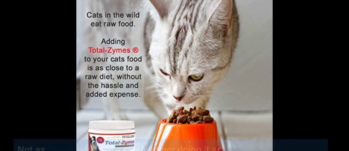 NWC Naturals - Total-Zymes- Digestive Enzymes for Dogs and Cats - Treats 365 Cups of Pet Food