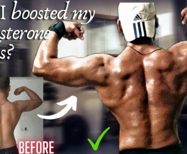 How You Can Increase Your Testosterone Level? Get Insane Strength & Power