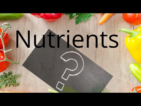 Nutrient kya hota h/what is nutrients?