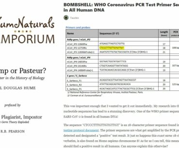 Bombshell Evidence that COVID is Chromosome 8 Human DNA - Faulty PCR Test