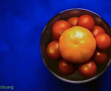 Can Vitamin C Help with Lead Poisoning?