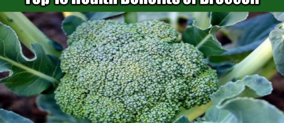 Health Benefits of Broccolli/10 wonderful benefits of Broccoli/Nutrition Facts