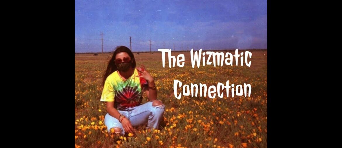 The Wizmatic Connection- Episode 4: Tips for Strengthening Your Immune System..