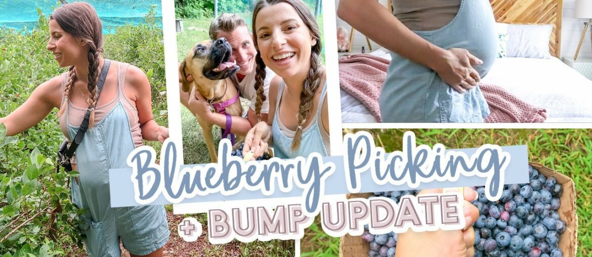 DAY IN THE LIFE VLOG | Blueberry Picking + Bump Update & MORE!