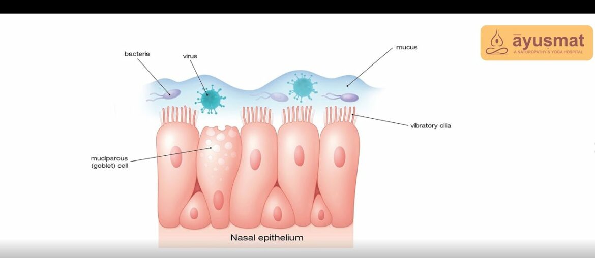 Ayusmat/Boosting your Immune System against Coronavirus: Minimize the risk of infection. Part 1