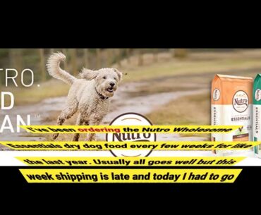 NUTRO WHOLESOME ESSENTIALS Large Breed Dry Dog Food Puppy Lamb & Rice Recipe 13.61kg (30LB)