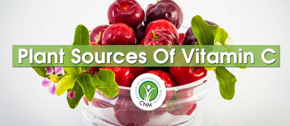 What Are The Plant Sources Of Vitamin C? CNM Herbalist Explains