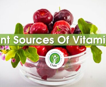 What Are The Plant Sources Of Vitamin C? CNM Herbalist Explains