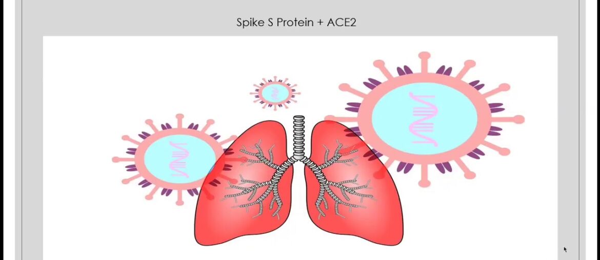 COVID-19 and Kidney Diseases