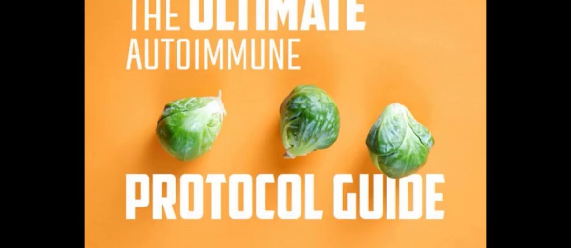 The Ultimate Guide To Autoimmune Wellness: Autoimmune Protocol - AIP Recipes