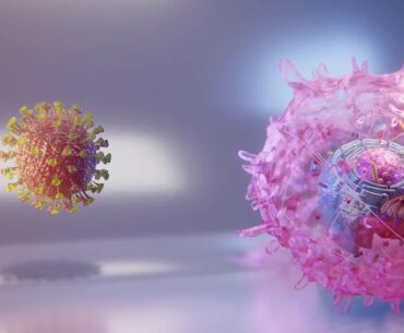 Scientists discover coronavirus's mechanism for inhibiting the immune system