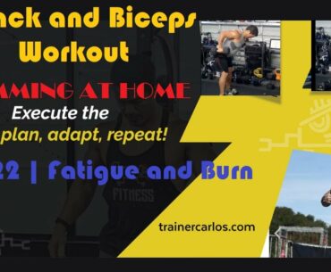 Back and biceps workout Ep. 22 | Fatigue and Burn