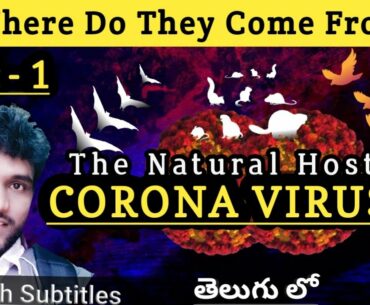 Origin of New Coronaviruses : Where Do Coronaviruses Come From | In Telugu | By Chandu Karthikeyan