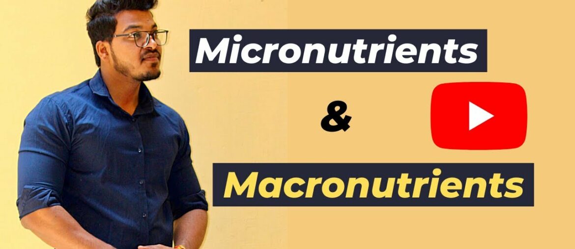 What are MICRONUTRIENTS & MACRONUTRIENTS ? FITNESS FICTION