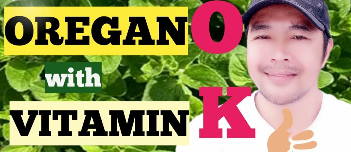 HEALTH BENEFITS OF OREGANO (WILD MARJORAM)| VITAMIN K | exploring KINGDOM PLANTAE