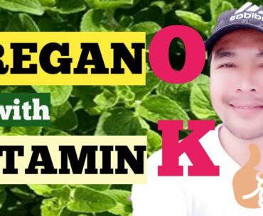 HEALTH BENEFITS OF OREGANO (WILD MARJORAM)| VITAMIN K | exploring KINGDOM PLANTAE