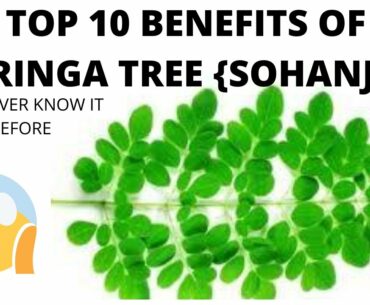 moringa tree benefits || top 10 || new 2020 || fast healthy tips 4 you