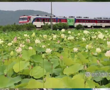 Latest Nature Scenes|| Train scenes || Latest 2020